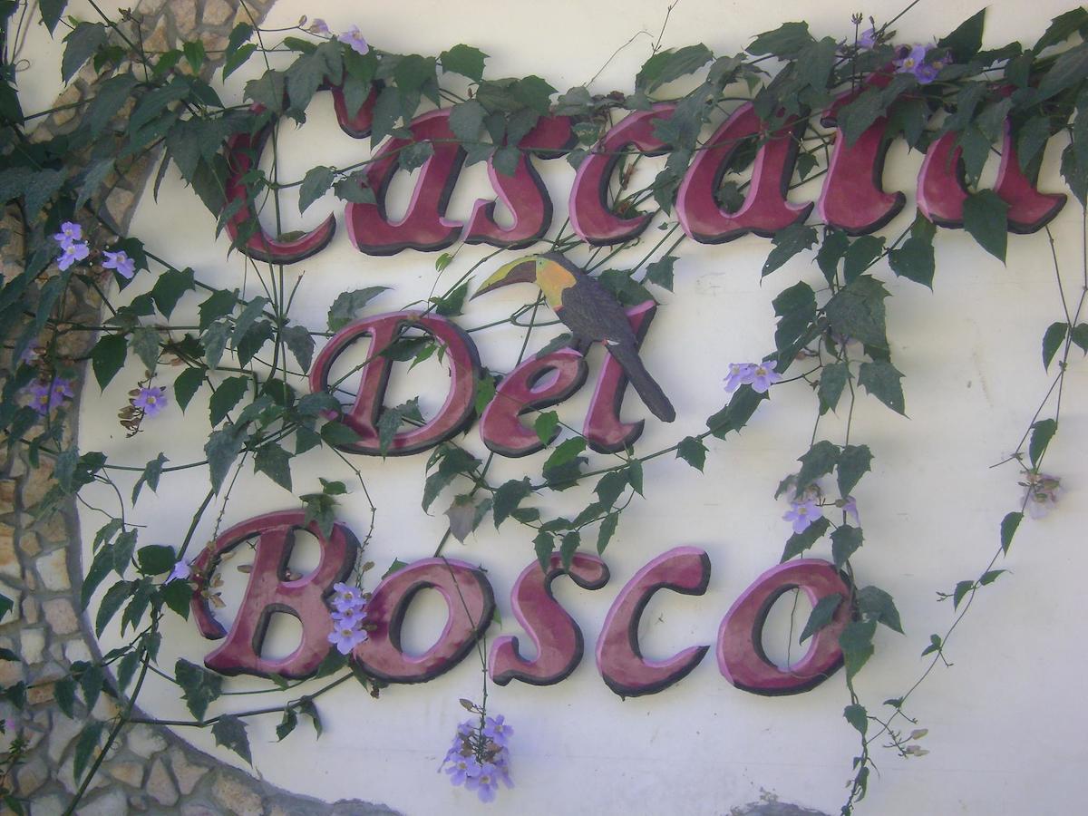 Cascata Del Bosco Cabinas Hotel San Vito Eksteriør billede
